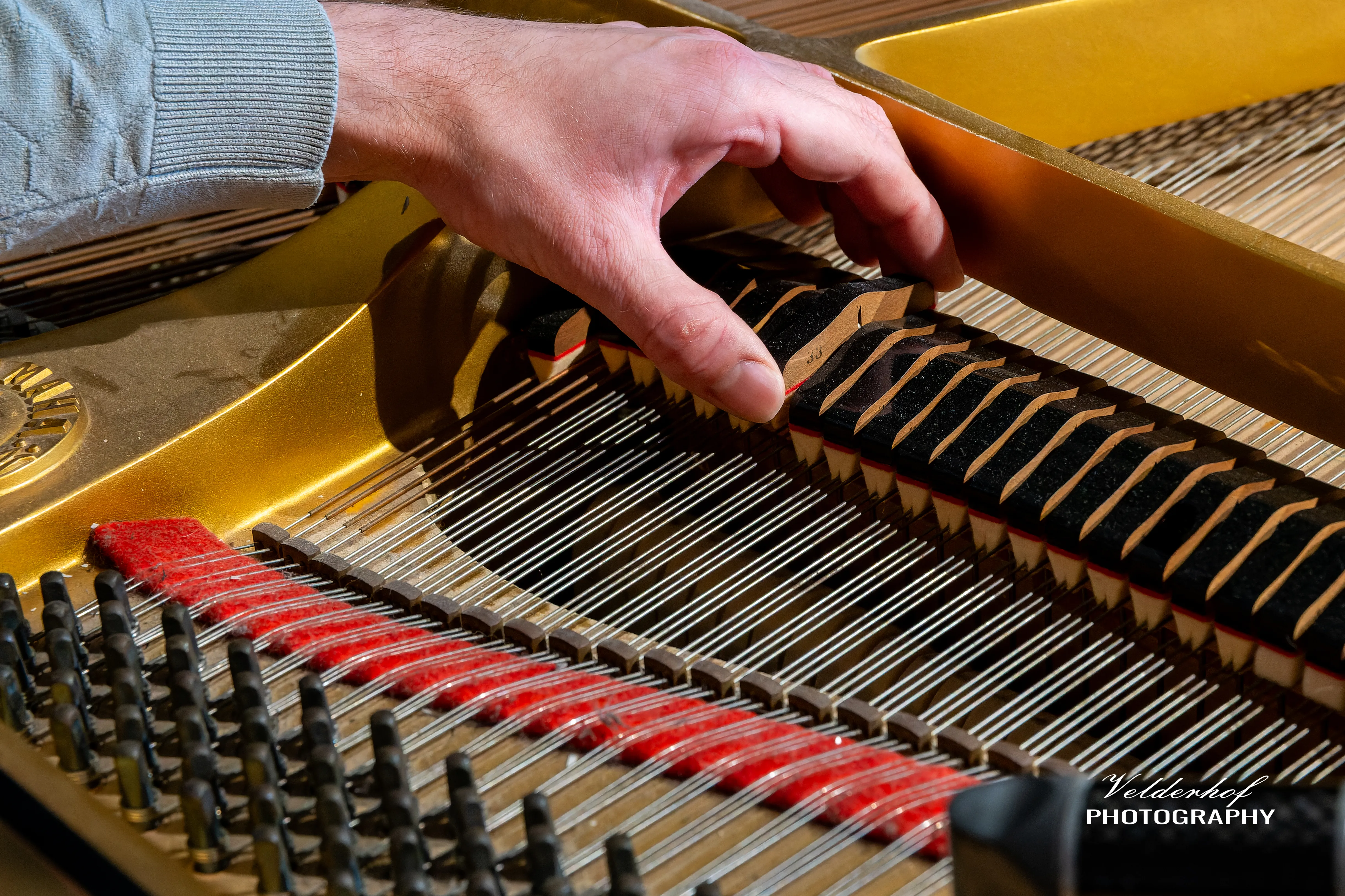 Van Oldeniel Piano's / Pianostemmer Bruno Rombouts - 3